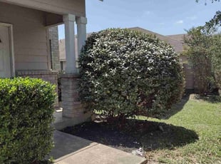 Ro A.'s Bush Trimming service result