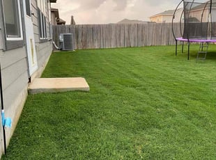 Elena H.'s landscaping service result
