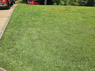 Terry P.'s lawn care service result