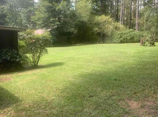 Bill P.'s turf care service result