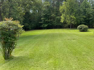 Adele M.'s lawn care services service result