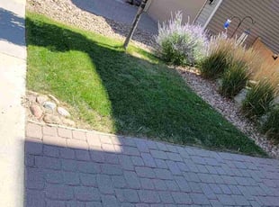 Cathy A.'s Long Grass Cleanup service result