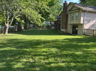 Megan M.'s turf maintenance service result