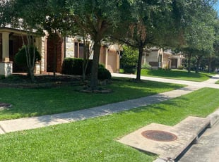 Corey P.'s yard care service result