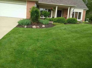 Jennifer P.'s grass cutting service result