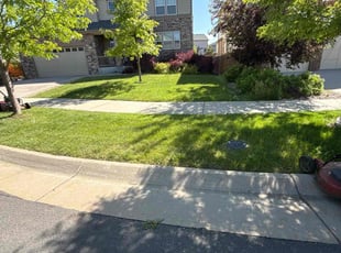 Kiki B.'s lawn maintenance service result