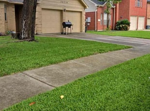 Michael C.'s grass maintenance service result