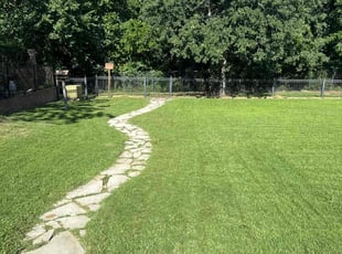 Kim V.'s turf maintenance service result