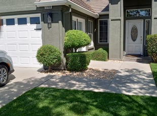 Lisa T.'s Bush Trimming service result