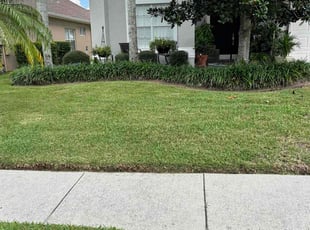Bryan T.'s lawn care services service result