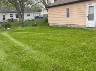 Wanda K.'s grass cutting service result