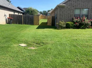 Cheryll P.'s lawn maintenance service result