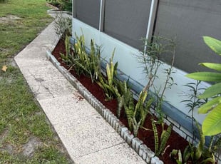 Judy V.'s Flower Bed Weeding service result