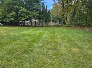 Leo M.'s lawn maintenance service result