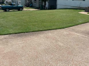 Tamer K.'s grass cutting service result