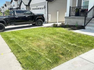 Bob J.'s turf maintenance service result