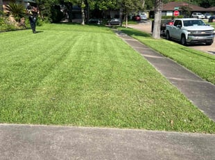 Mary D.'s lawn care services service result