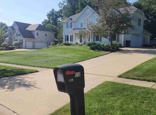 Jose R.'s turf maintenance service result