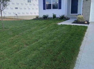 Maria T.'s lawn care service result