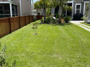 Anna S.'s turf care service result