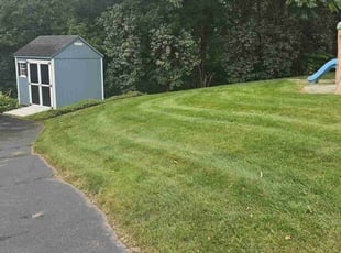 Chris H.'s turf maintenance service result