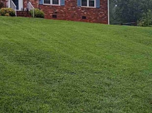 Karen R.'s lawn care service result