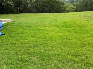 Mike R.'s grass maintenance service result
