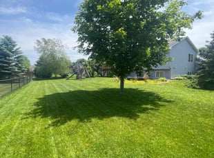 Nikki B.'s lawn service service result