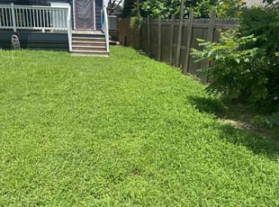 Byron B.'s lawn care service result