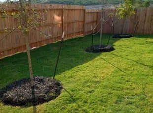 Markus W.'s lawn care services service result