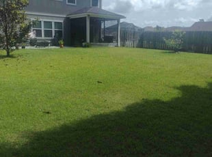 Leonard D.'s turf maintenance service result