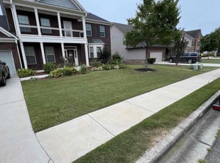 Dave S.'s turf care service result