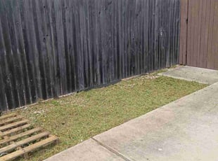 Nancy C.'s grass cutting service result