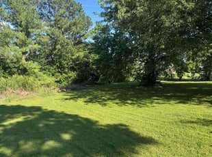 Paul A.'s lawn care service result