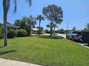 Stephen V.'s lawn care service result