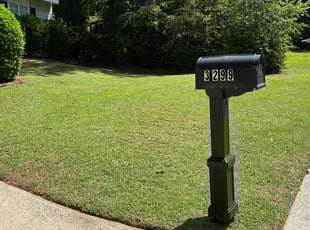 Jeremy O.'s landscaping service result
