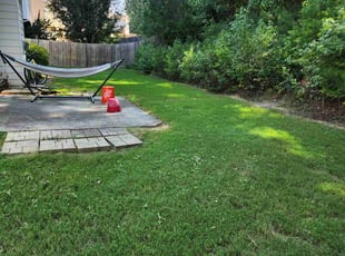 Colleen B.'s turf care service result