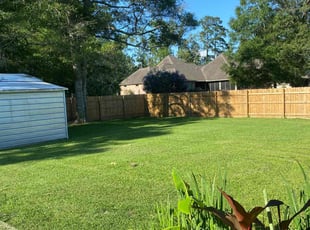 Dante B.'s grass maintenance service result
