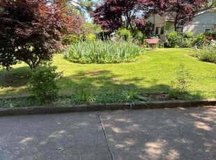 Sam G.'s turf maintenance service result