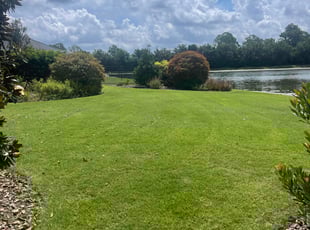 Terence D.'s lawn care service result