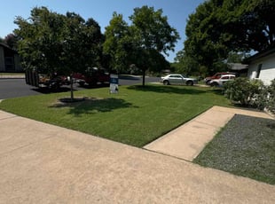 Kelly V.'s grass maintenance service result