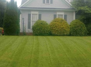 Katherine E.'s Flower Bed Weeding service result