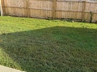 Weston S.'s lawn service service result