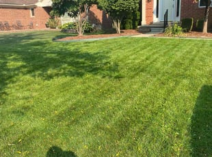 Jay M.'s grass maintenance service result
