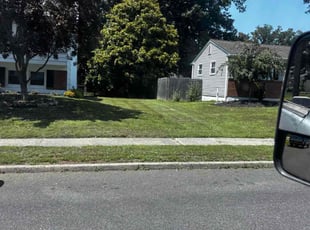 Suzann S.'s grass cutting service result