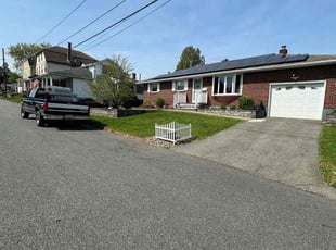 Judith E.'s turf care service result