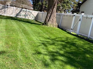 Ann G.'s turf care service result