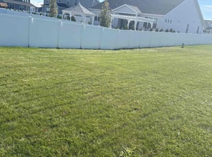 Ricardo B.'s turf maintenance service result