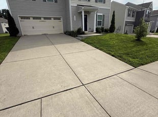 Nadia F.'s lawn care service result