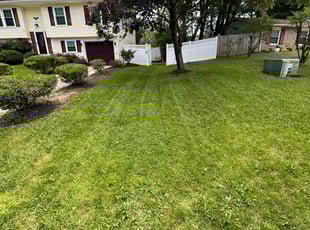 Christie C.'s lawn service service result